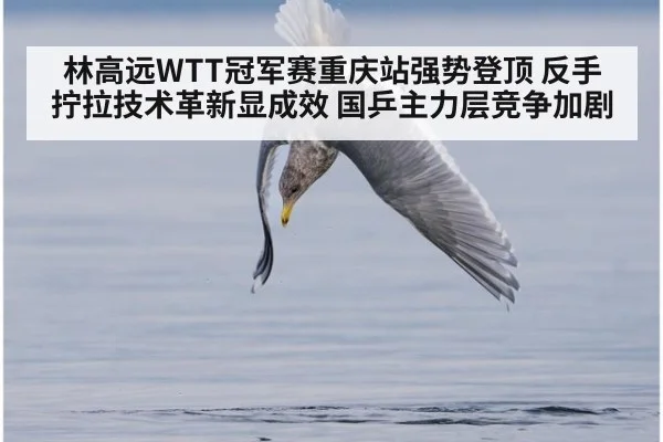 林高远WTT冠军赛重庆站强势登顶 反手拧拉技术革新显成效 国乒主力层竞争加剧 | jiuyouhui