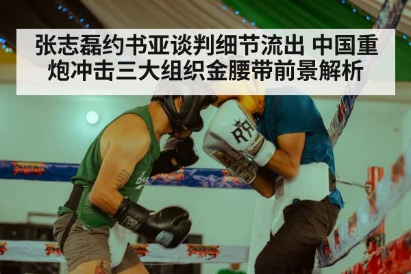 张志磊约书亚谈判细节流出 中国重炮冲击三大组织金腰带前景解析